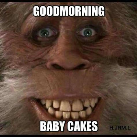 Good morning babycakes Things To Tell Your Friends, Yeti Bigfoot, The Paranormal, Bigfoot Sasquatch, To Tell, Good Morning