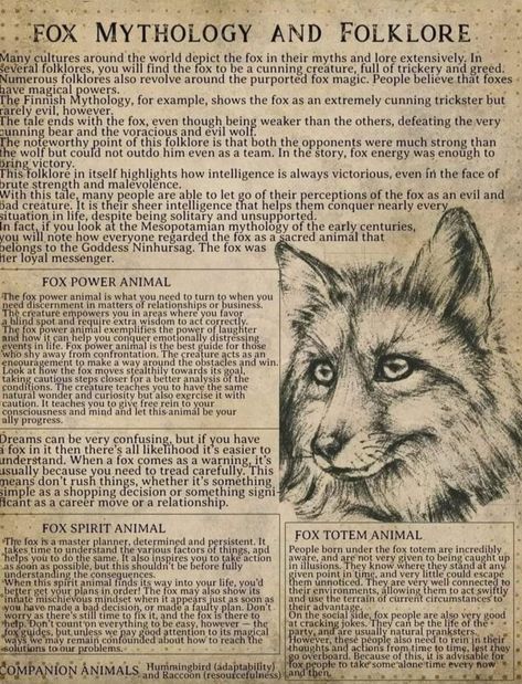 Journal Information Page, Animal Journal, Witch Grimoire, Swift Fox, Philippine Mythology, Art Planner, Mythological Animals, Witchcraft Spells, Kitsune Fox