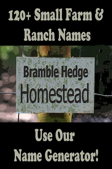 Naming Your Farm, Names For Farms, Funny Farm Names, Property Names Ideas, Farm Names Unique, Homestead Names Ideas, Farmhouse Names, Homestead Names, Garden Names Ideas