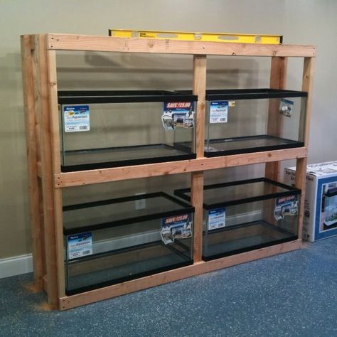 Tank Rack System - Support Long Edge Only? - Reef Central Online Community Fish Tank Rack, Aquarium Rack, Fish Rack, Diy Aquarium Stand, Aquarium Diy, Fish Room, Aquarium Stands, Fish Tank Stand, Fish Farm