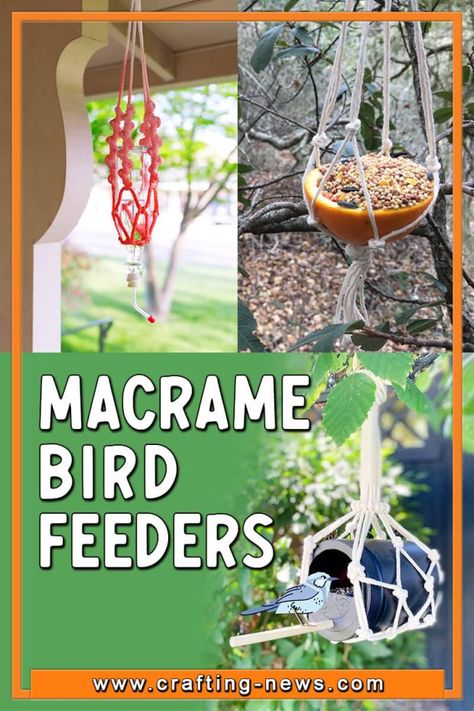 Macrame Bird Feeder Diy, Macrame Bird Feeder, Macrame Bird, Bird Feeders Diy, Hanging Baskets Diy, Bird Feeder Hangers, Pets Wallpaper, Animals Jokes, Terrace Garden Ideas