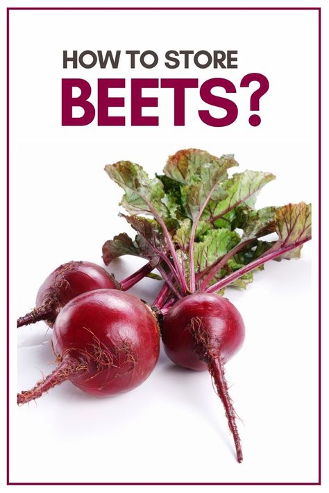 Three vibrant red beets displayed against a plain white background Storing Beets, How To Store Beets, Fresh Beets, How To Store, Save For Later, Shelf Life, Beets, The Garden, Pantry