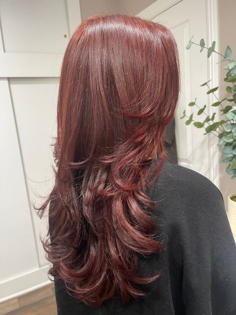 Cherry Red Hair Dye, Red Hair Without Bleach, Red Hair No Bleach, Red Hair Layers, Maroon Hair Color, Cherry Brown Hair, Pelo Color Vino, Maroon Hair, Cherry Red Hair