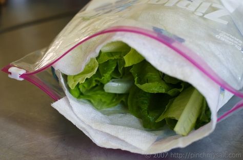 Fridge Paper, Storing Lettuce, Wilted Lettuce, Iceberg Lettuce, Leafy Vegetables, Romaine Lettuce, Paper Towels, Green Salad, Baking Tips