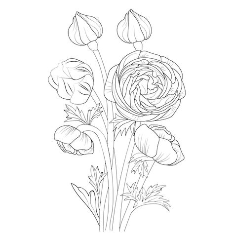 Ranunculus Flower Drawing, Ranunculus Line Drawing, Runuculous Flower Tattoo, Ranunculus Flower Tattoo, Ranunculus Drawing, Flower Hand Drawing, Ranunculus Tattoo, Ranunculus Flower, Ink Flowers