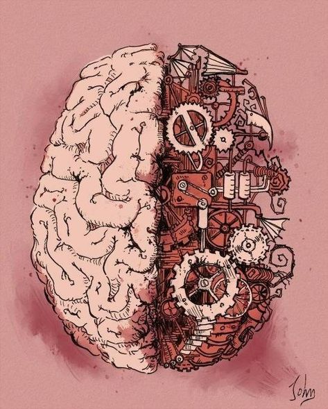 Anatomy Medical, Biomedical Engineering, Medical Art, Anatomy, Brain, Engineering, Medical, Google Search, Art