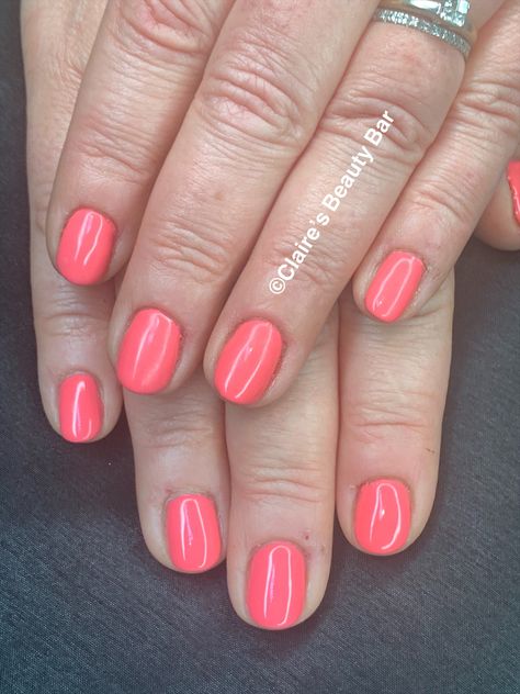 #Gellux #GelluxSpringColours #GelluxShoreIsSunny #ShoreIsSunny #GelluxNew GelluxNails #Opi #OpiGelcolor #Gels #GelNails #Nails #Coral #Orange #CoralNails #CoralGels #BrightNails #RoundNails #HolidayNails #Hillingdon #Manicure #NaturalNails #NailTec #Mani #Beauty #BeautyTherapist #Beautician #clairesbeautybar Coral Biab Nails, Coral Nail Tips, Gel Nails Coral Color, Coral Coloured Nails, Bright Coral Gel Nails, Tips For Nails, Nails Coral, Nails Round, Biab Nails