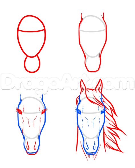 draw horse heads and faces step 7 Horse Face Drawing, 21 Draw, Draw Horse, Horse Drawing Tutorial, Horse Head Drawing, Trin For Trin Tegning, Draw A Horse, Drawing Horse, Easy Sketches