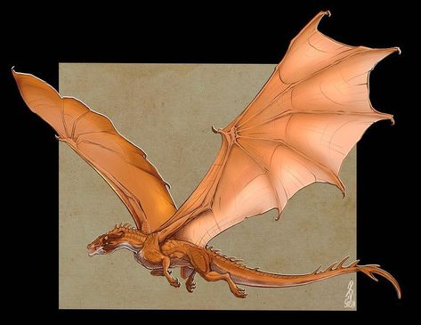 Dragon Poses, Dragon Anatomy, Got Dragons, Wings Of Fire Dragons, Dragon Tales, Dragon Sketch, Fantasy Beasts, Dragon 2, Dragon Rider