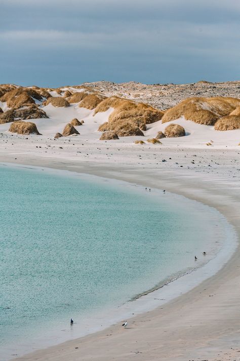 falkland islands Falkland Islands Photography, Sci Fi Background, List Inspiration, Falkland Islands, South American Countries, Bucket Lists, South America Travel, Island Travel, Countries Around The World