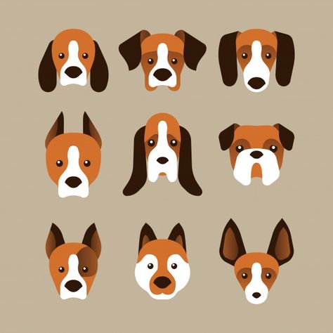 Dog Faces Drawings, Dog Faces Illustration, Cartoon Dog Portrait, Dog Vector Art, Dog Face Drawing, Dog Vector Illustration, Dog Match, Basenji Dogs, Spitz Dogs