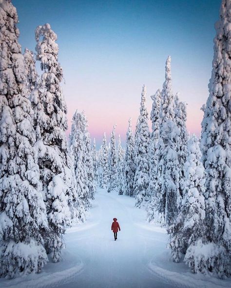 The snow season in northern Finland begins in November and lasts at least until May. In the inland regions of southern and central Finland,… Arctic Landscape, Finland Travel, Lapland Finland, Winter Magic, Epic Journey, Winter Pictures, Culture Travel, Lonely Planet, Winter Wonderland