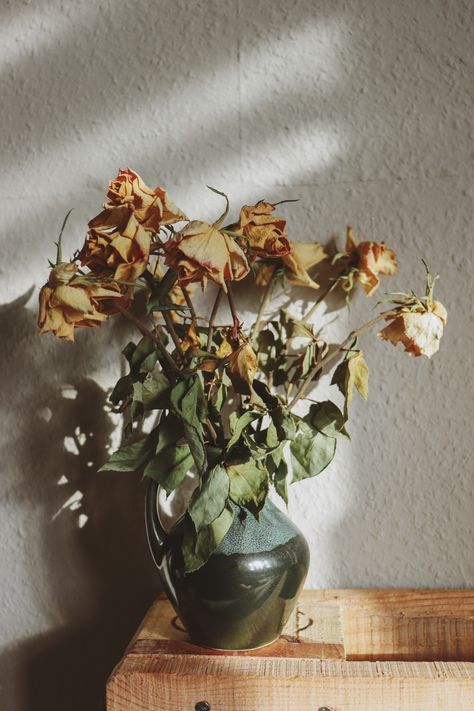 Withered Flowers in Ceramic Vase · Free Stock Photo Aesthetic Composition, Ceramic Vase, Composition, Roses, Vase, Flowers