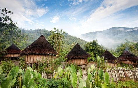 Port Moresby, West Papua, Oceania Travel, Cycling Tour, New Guinea, Traditional Architecture, Countries Of The World, Papua New Guinea, Equatorial Guinea