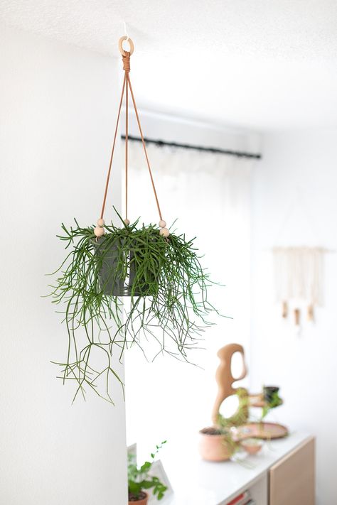 5 Min Hanging Nursery Planter Makeover | ctrl + curate Diy Clay Pots, Planter Makeover, Flowers For Vases, Beaded Plant Hanger, Hanging Plant Ideas, Diy Plant Pots, Diy Plant Stands, Rustic Shiplap, Home Decor For Small Spaces