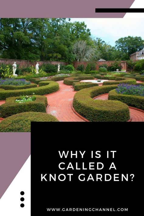 knot formal garden with text overlay why is it called a know garden English Knot Garden, Knot Garden Design Ideas, Knot Garden Design, Garden With Flowers, Knot Garden, Plant Herbs, Formal Garden Design, Garden Answer, Gardening Landscaping