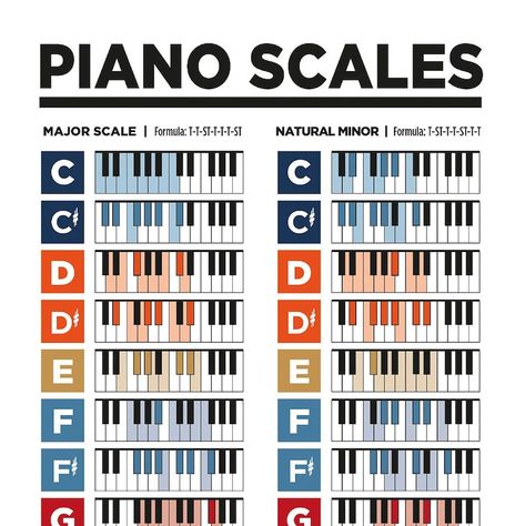 Buy Piano Chords and Scales Music Theory Printable Poster Pack. for Musicians and Pianist. Learn Piano Theory Posters. Piano Chords. Online in India - Etsy Piano Scales Chart, Piano Theory, Scale Music, Basic Music Theory, Music Basics, Music Theory Piano, Beginner Piano Music, Piano Scales, Reading Sheet Music