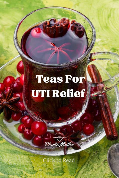 Natural home remedies for urinary infections with our top 5 tea choices. These herbal teas are known for their soothing properties and can help support urinary health. Whether you're dealing with symptoms or looking to prevent infections, these teas offer effective and delicious options. Incorporate these healing teas into your daily routine to enhance your wellness and promote a healthy urinary system. The best teas for urinary infection relief and learn how these home remedies can benefit you Menstrual Tea, Urinary Infection, Best Teas For Health, Throat Tea, Healing Teas, Kidney Diet Recipes, Cranberry Tea, Tea Blends Recipes, Tea For Digestion