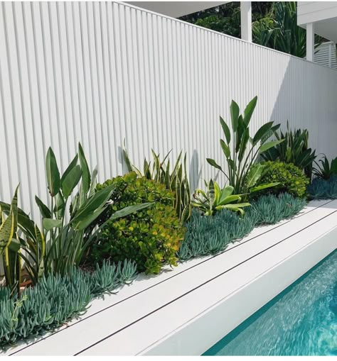 Modern Australian Landscaping, Modern Australian Garden Front Yards, Gardens Around Pools, Succulents Around Pool, Coastal Backyard Landscaping Ideas, Australian Landscape Design, Australian Front Yard, Pool Area Plants, Pool Landscaping Australian