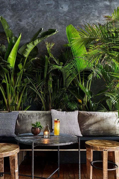 Jungle Room, Dekorasi Kamar Tidur, Salon Interior Design, Have Inspiration, Coffee Shop Design, Cafe Interior Design, Restaurant Interior Design, Salon Design, Restaurant Interior