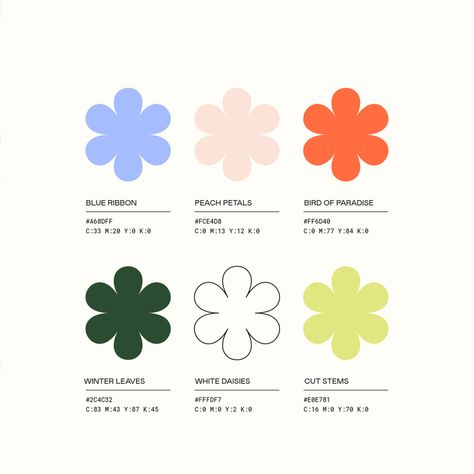 Wild Stems, Fun Colorful Brand Design & Shopify Website for Florist / Floral Shop / Floral Design - ATNN Design Florist Brand, Brand Profile, Wedding Website Design, Colorful Website, Branding Design Studio, Florist Logo, Shop Branding, Flower Branding, Hex Color Palette