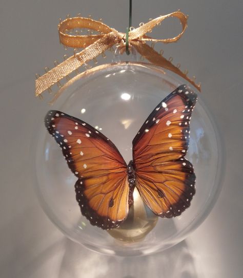 "Danice bernice" from Kansas      This butterfly is in the monarch family 80 mm  clear ornament $15.00 US Christmas Butterflies, Butterfly Ornaments, Clear Ornaments, The Monarch, Holiday Ornaments, Kansas, Anatomy, Christmas Bulbs, Butterflies