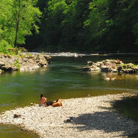 Summer Along the Wilson River River Guide Aesthetic, Hudson River New York, Hudson River Park Nyc, River Surfing, Wild Rivers Water Park, Pool Shade, Elephant Rock, Columbia River Gorge, Swimming Holes