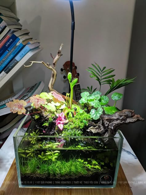 Half Aquarium Half Terrarium, Aquarium With Plants On Top, Shallow Aquarium, Paludarium Mini, Riparium Aquascape, Spiderwood Aquascape, Vampire Crab Paludarium, Hobbit Garden, Small Water Gardens