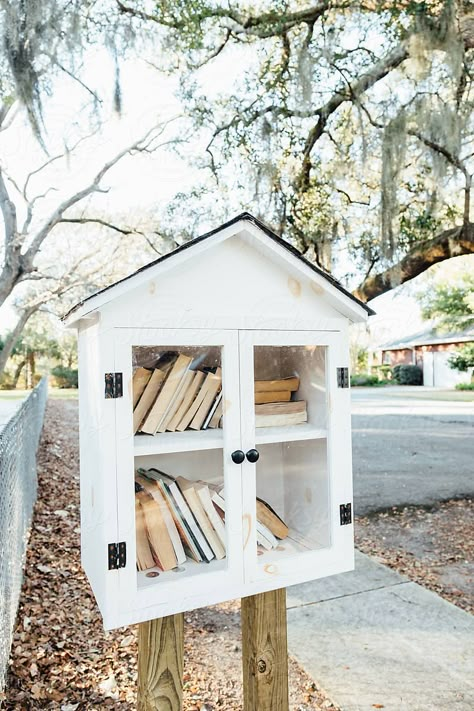 Neighborhood Library, Little Free Library Plans, Little Free Pantry, Tiny Library, Street Library, Small White House, Library Plan, Small Community, Library Inspiration