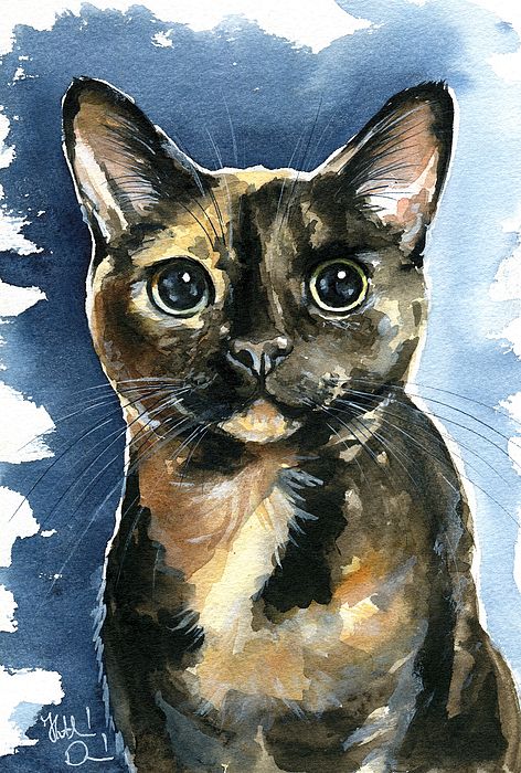 Tortie Cats, Tortie Cat, Tortoiseshell Cat, Cat Paintings, Tortoise Shell Cat, Cat Artwork, Watercolor Cat, Cat Painting, Watercolor Animals