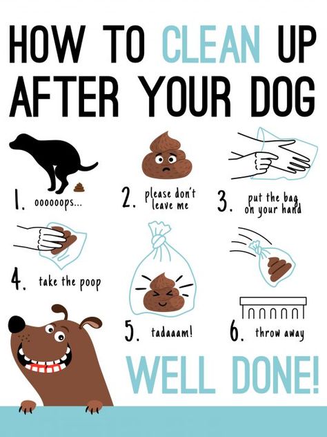 Dog Throwing Up, Pet Store Ideas, Dog Remedies, Dog Cafe, Pet Boarding, Cabin Signs, Watercolor Kit, Dog Cleaning, Dog Wash