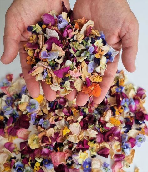 Natural, Biodegradable Wedding Confetti. Dried Rose Petals, Dried Vintage Flowers. These Fragrant dried rose petals are wonderful for decoration in special events. The petals are made from REAL fresh roses which we bring from the growers. These magnificent dried rose petals are a 100% natural product. The petals are perfectly preserved to look beautiful on your special day. The options to use them are many: Use them to border an aisle runner, fill them into cones for tossing, or simply decorate Wildflower Confetti, Dried Flower Confetti, Biodegradable Wedding, Flower Petal Confetti, Eco Friendly Confetti, Petal Toss, Wedding Toss, Biodegradable Confetti, Aisle Runners