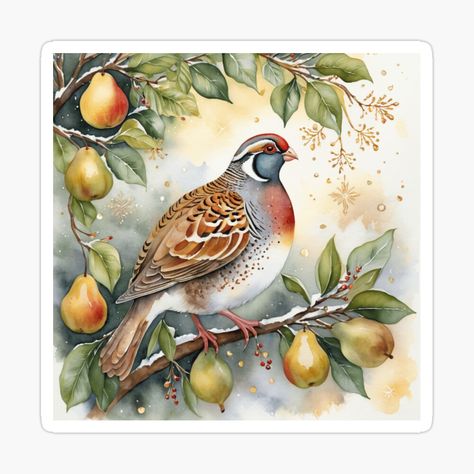 "Partridge in a Pear Tree Watercolor Art" Magnet for Sale by WaterBirdArt | Redbubble Patridge In A Pear Tree, Winter Bird Art, Partridge Bird, Partridge In A Pear Tree, Tree Watercolor, Watercolor Birds, Winter Landscapes, Beauty Of Winter, Dreaming Of A White Christmas