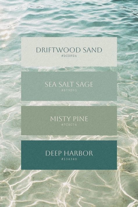 Kelp Color Palette, Navy Aqua Color Palette, Color Schemes For Beach Weddings, Green Ocean Color Palette, Wedding Color Schemes Beach Ocean, Natural Tone Color Palette, Ocean Palette Colour Schemes, Coastal Brand Color Palette, Sea Green Colour Palette