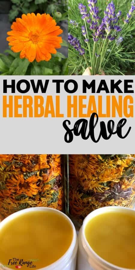 How to Make Herbal Healing Salve (with Calendula and Lavender) Healing Salve Recipe Diy, Healing Salve Recipe, Healing Salve, Salve Recipes, Cold And Cough Remedies, Herbal Salves, Healing Salves, Natural Antibiotics, Herbal Healing