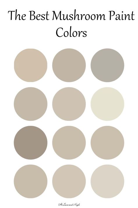 Mushroom Paint Colors are the perfect neutral for the background of all your home decor. They are earthy and cozy and extremely popular right now. Best Mushroom Paint Colors, Farmhouse Family Rooms, Mushroom Color, Fixer Upper Inspired, Work Cubicle, Mushroom Paint, Kitchen Counter Decor, Bedroom Wall Colors, Guest Room Decor