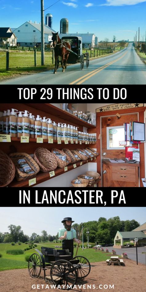 Escape to the picturesque beauty of Lancaster, PA, and immerse yourself in the rich culture of Amish Country! Explore our awesome list of 29+ things to do, guaranteed to make your getaway unforgettable. From experiencing the simplicity and charm of Amish life to discovering historical landmarks, indulging in delicious homemade treats, and exploring vibrant local markets, this guide will help you create lifelong memories in the heart of Pennsylvania Dutch Country. Check the blog for the details. What To Do In Lancaster Pa, Lancaster Pennsylvania Things To Do In, Lancaster Pa Things To Do In, Things To Do In Lancaster Pa, Amish Country Pa, Philadelphia Trip, Amish Country Lancaster Pa, Things To Do In Pennsylvania, Pennsylvania Amish Country