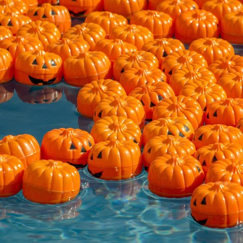 Fall Pool Decorations, Fall Pool Party Ideas, Pool Halloween Decor, Spooky Pool Party, Halloween In Summer Party, Goth Pool Party, Summerween Pool Party, Halloween Summer Party, Halloween Pool Decorations