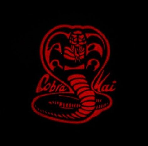 Alex Duncan on Instagram Cobra Kai Logo, Cobra Kai Wallpaper, Concept Art Drawing, Art Drawing, Concept Art, Art Drawings, Drawings, On Instagram, Instagram