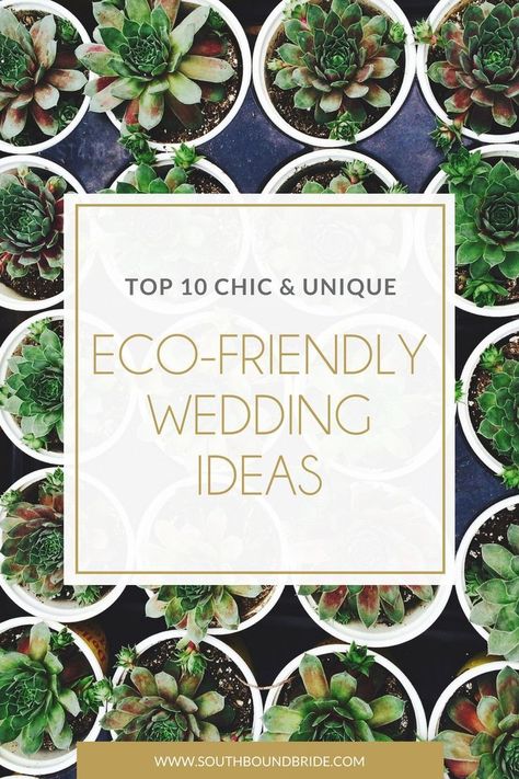 Sustainable Wedding Ideas, Eco Friendly Wedding Decor, Zelda Wedding, Vail Wedding, Green Weddings, Ethical Wedding, Wedding Advice Cards, Favors Ideas, Versatile Clothing