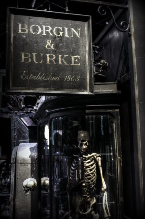 Harry Potter- Diagon Alley- Borgin&Burkes Knockturn Alley, Harry Potter Diagon Alley, Slytherin Vibes, Hogwarts Shifting, Shifting To Hogwarts, Hp Aesthetic, Harry Potter Wall, Buku Harry Potter, Theme Harry Potter