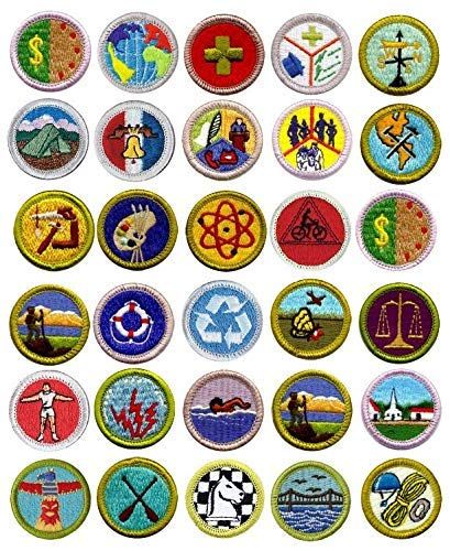 Scout Merit Badges, Boy Scout Cake, Eagle Scout Cake, Boy Scout Badges, Boy Scouts Merit Badges, Eagle Scout Ceremony, Cake Templates, Edible Toppers, Scout Badges