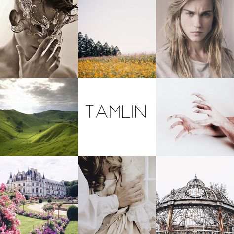 Tamlin Fan Art Beast, Faerie Acotar, Acotar Tamlin Beast, Tam Lin, Sarah J Maas, Sarah J, Book Aesthetic, Book Series, Outlander