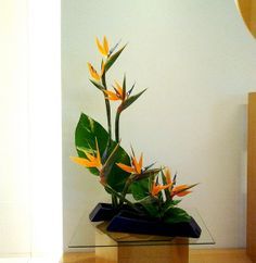 5 flower placement, higlignting bird of paradise form, with leaves anchoring arrangement. Parallel containers also key to composition and spacing. Hawaiian Flower Arrangements, Tall Flower Arrangements, Arreglos Ikebana, Contemporary Flower Arrangements, Floral Art Arrangements, Tropical Floral Arrangements, Tropical Flower Arrangements, Sustainable Flowers, Spring Flower Arrangements