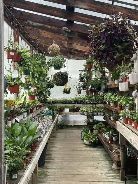 Herbal Greenhouse, California Garden Design, Glass House Garden, Greenhouse Cafe, Garden Shed Interiors, Garden Center Displays, Greenhouse Shed, Greenhouse Interiors, Home Greenhouse