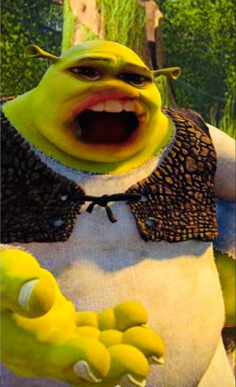 Handsome Shrek, Shrexy Shrek, Shrek Funny, Scream Meme, Shrek Memes, Wedding Dress Costume, Funny Characters, Weird Images, Funny Character