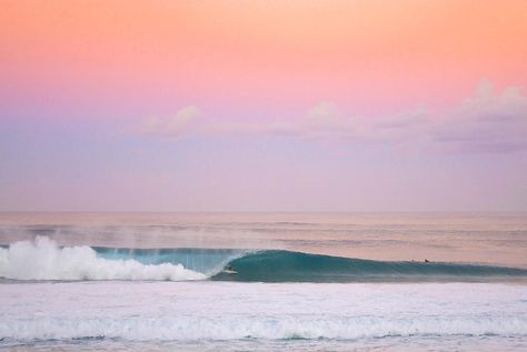 Pink Pipe, Surfing Wallpaper, Beachy Wallpapers, Macbook Pro Wallpaper, Wallpaper For Computer, Surfing Aesthetic, Desktop Wallpaper Macbook, Mac Wallpapers, Laptop Wallpaper Desktop Wallpapers