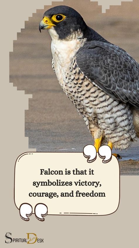 The spiritual meaning of seeing a Falcon is that it symbolizes victory, courage, and freedom. It represents the qualities of strength, leadership, and vision. The Falcon is considered a messenger of the divine, urging us to move beyond our limitations and reach for our highest potential. #reach #considered #represent #potential #vision Falcon Feather, Totem Animals, Native American Traditions, Peregrine Falcon, Symbols Of Freedom, Celtic Mythology, Embracing Change, The Falcon, Warrior Spirit