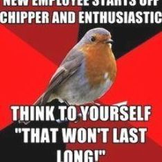 Retail Robin Meme | ... last long retail robin meme generator retail meme retail robin meme Retail Meme, Customer Service Humor, Customer Service Quotes Funny, Cashier Problems, Retail Quotes, Robin Meme, Customer Service Funny, Retail Robin, Christmas Retail