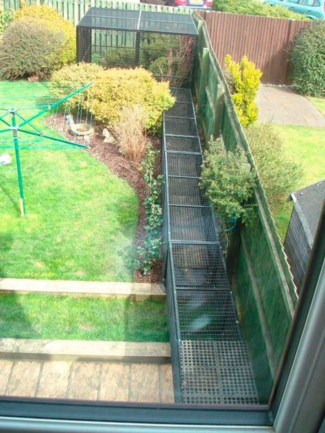 Rabbit Playground, Outdoor Cat Run, Catio Ideas, Cat Habitat, Cat Playground Outdoor, Enclosure Ideas, Cat Fence, Cat Patio, Outdoor Cat Enclosure